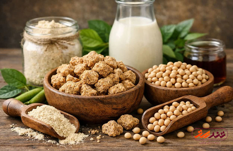 خواص پروتئین سویا